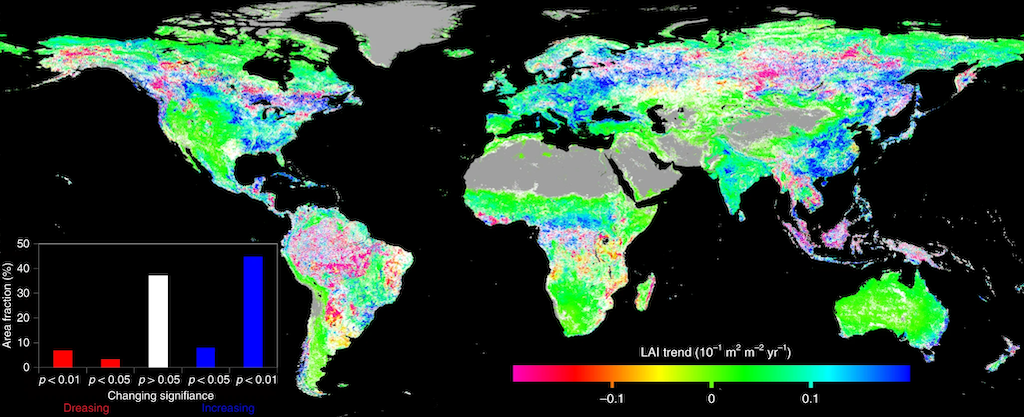Global map indicating the trend of LAI from 1981 to 2016